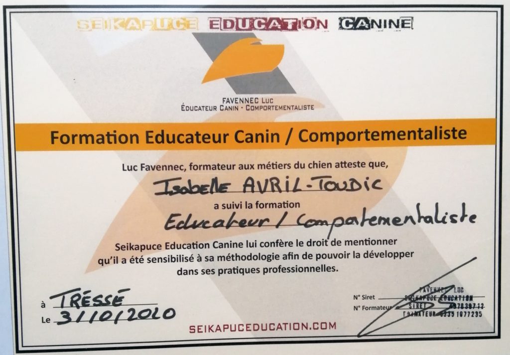 formation d'éducateur canin pleurtuit