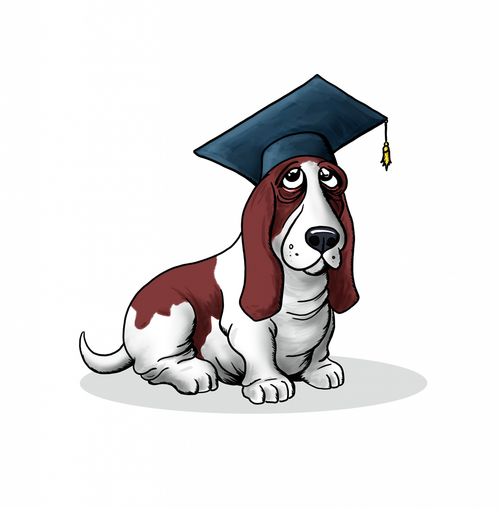 comment éduquer son chiot